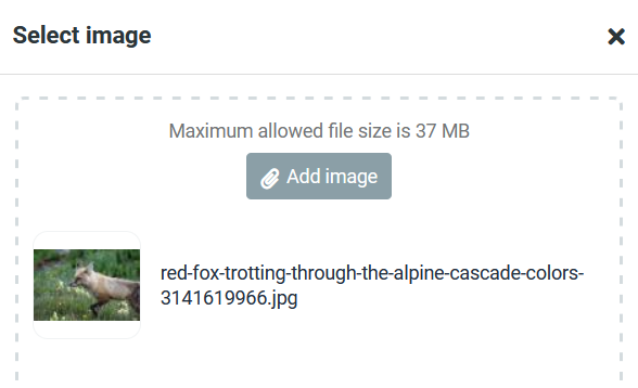 insertimage3.png